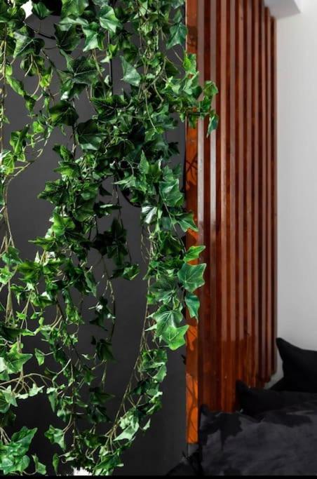 Novel Acropolis Apartment Athens Ngoại thất bức ảnh