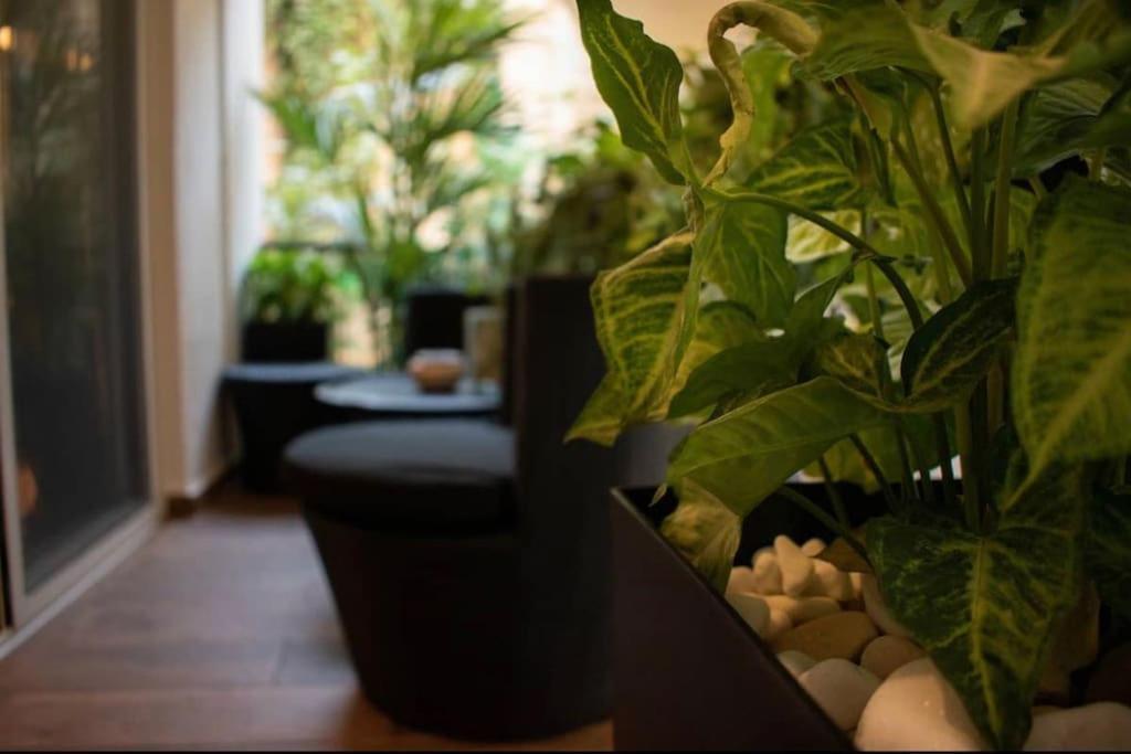 Novel Acropolis Apartment Athens Ngoại thất bức ảnh